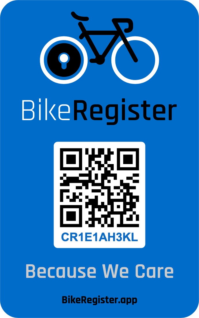 Security protection label - Blue